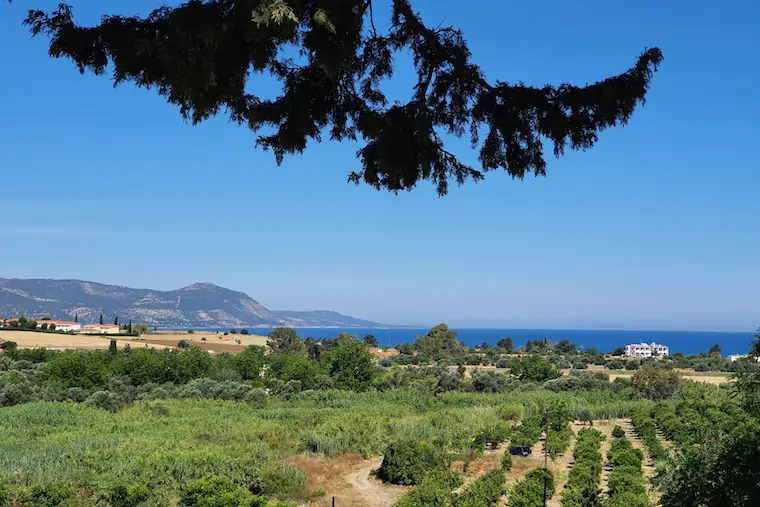 business bank account cyprus why bank here