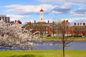 Best bank accounts for international students in USA feature image