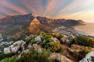 Send Money to South Africa From USA feature image