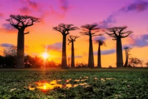 sending money to madagascar from us feature image