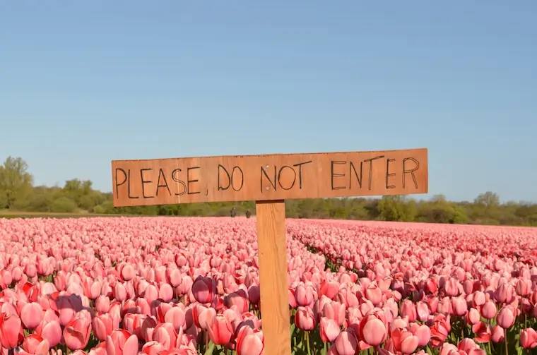 How to open a bank account in the Netherlands